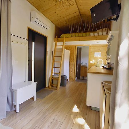 Apartamenty Zabcia 格里兹鲍 外观 照片